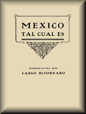 [Gutenberg 58713] • México tal cual es